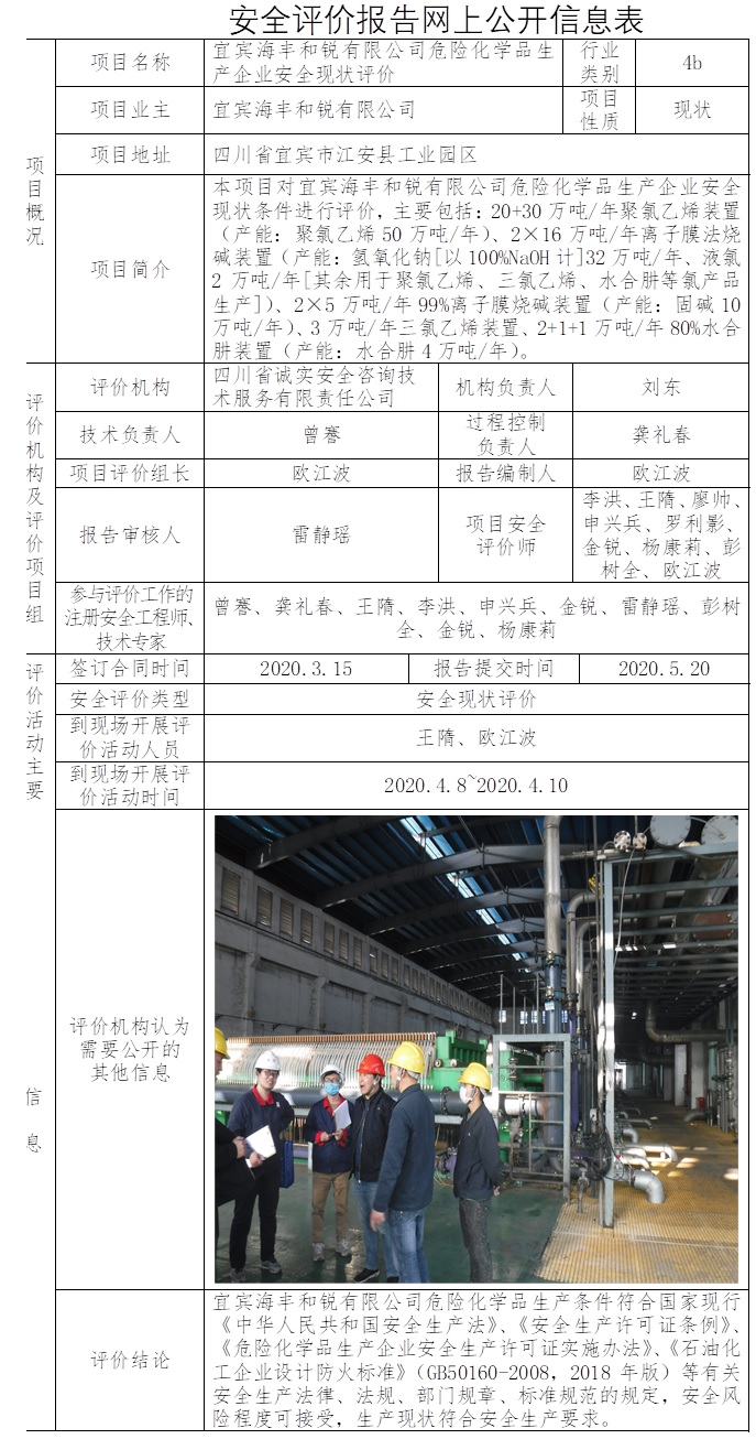 宜宾海丰和锐有限公司危险化学品生产企业安全现状评价.jpg