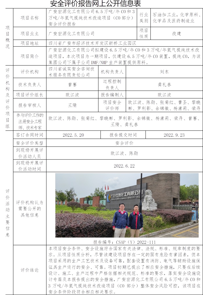 广安宏源化工有限公司6.5万吨每年CO和3万吨每年氢气提纯技术改造项目（CO部分）安全评价.jpg
