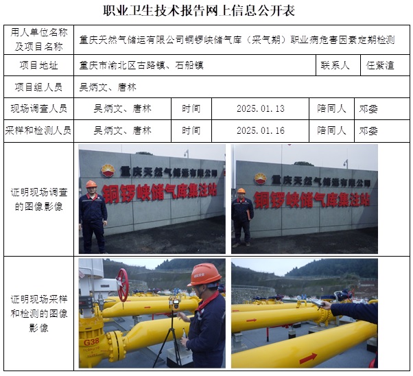 CSZJ（D）2025-002 重庆天然气储运有限公司-铜锣峡储气库（25.4.21出版  5月中旬）.jpg