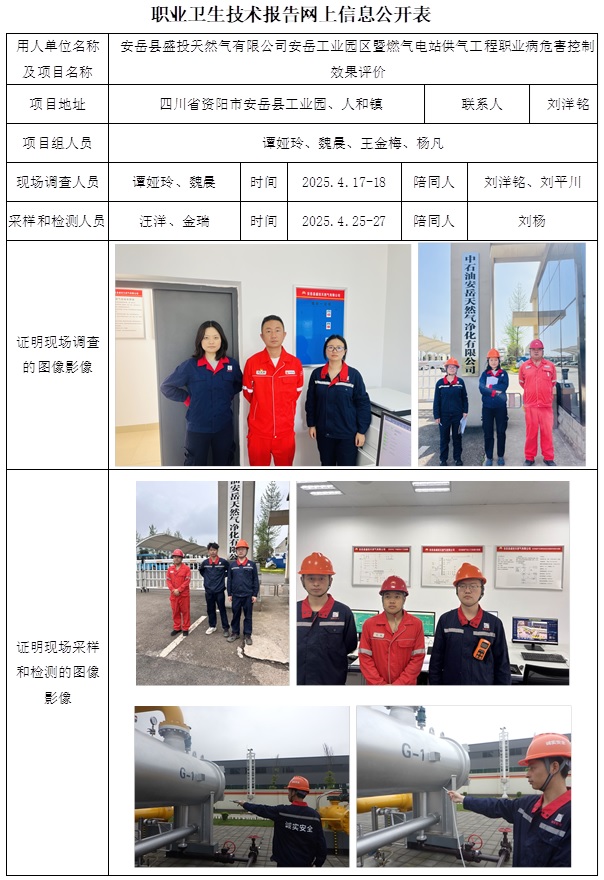 CSZP（K）2024-115 安岳县盛投天然气有限公司安岳工业园区暨燃气电站供气工程（2025.6.10出版）.jpg