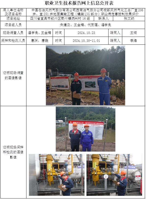 2025.8.26出版 CSZP（K）2023-012中国石油天然气股份有限公司西南油气田分公司成都天然气化工总厂宜206井、宜251井地面集输工程（橇装LNG部分）-网上公开信息表.jpg