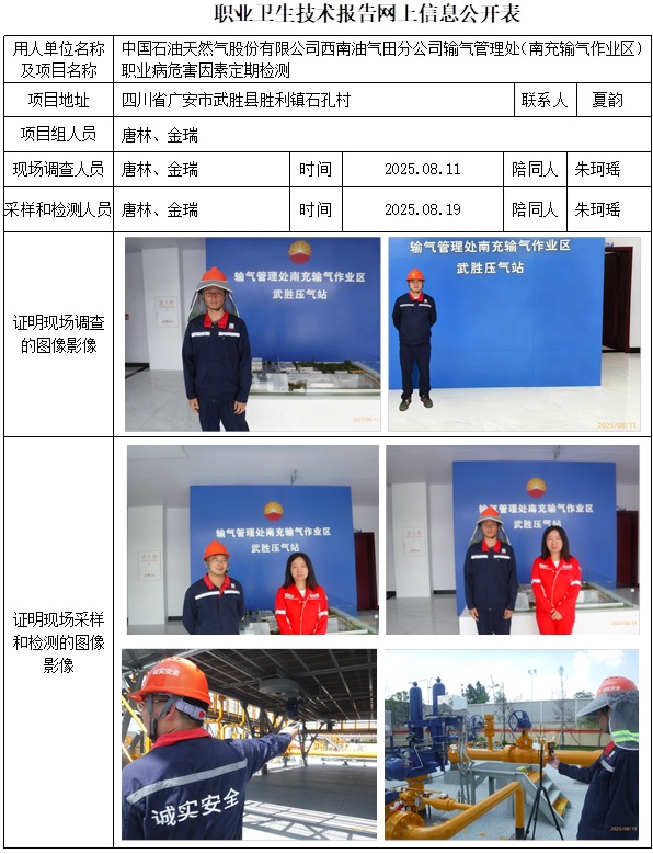 2025.09.28 CSZJ(D)2025-049.3 中国石油天然气股份有限公司西南油气田分公司输气管理处（南充输气作业区) -网上公开信息表.jpg