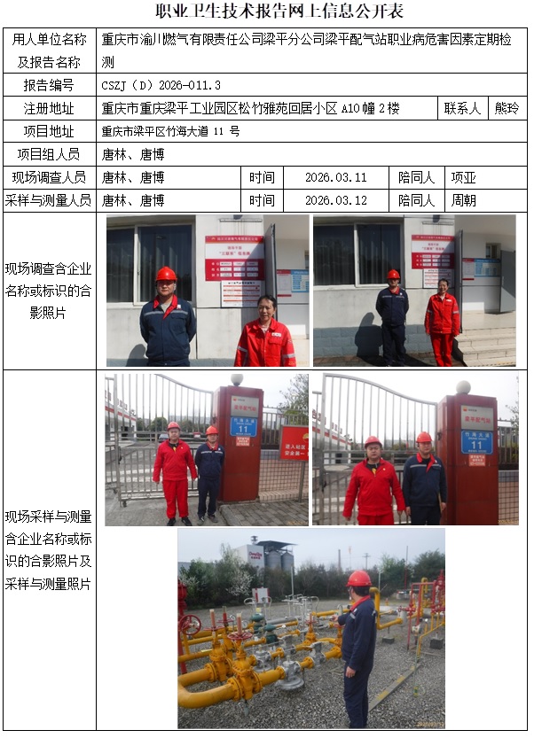 2026.03.20出版  26ZP011-4 CSZJ（D）2026-011.3重庆市渝川燃气有限责任公司梁平分公司梁平配气站  公示信息1.jpg
